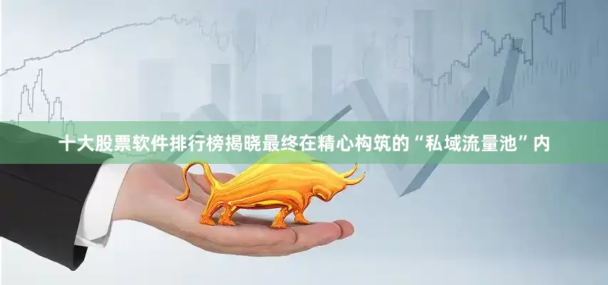 十大股票软件排行榜揭晓最终在精心构筑的“私域流量池”内