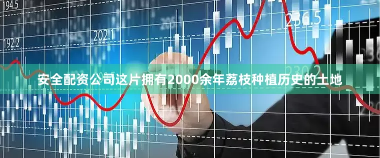 安全配资公司这片拥有2000余年荔枝种植历史的土地