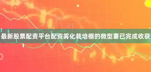 最新股票配资平台配资雾化栽培棚的微型薯已完成收获