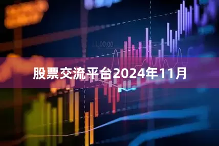 股票交流平台　　2024年11月